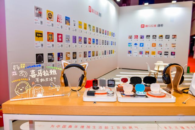 声音重构车载第三空间喜马拉雅武冰冰：用(图2)